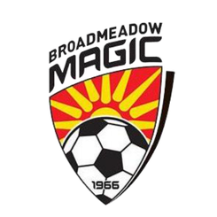 贝尔蒙特斯旺西SC